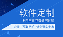 專業(yè)軟件100%的工作服務是通過量身定制的方法提供的